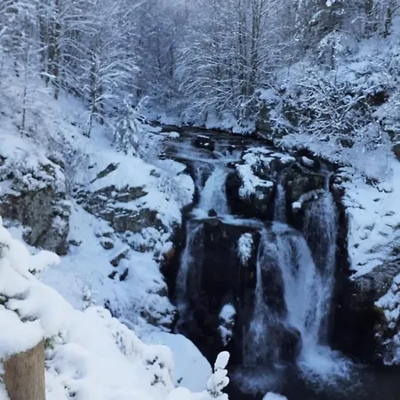 La Casetta Della Nonna 別荘