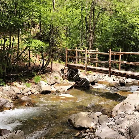 La Casetta Della Nonna Tatil Evi