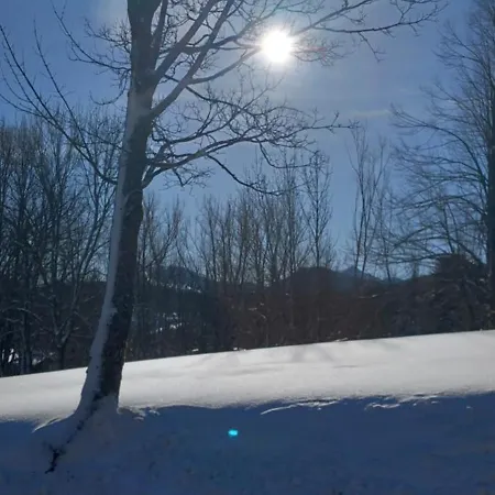 La Casetta Della Nonna Sant'Anna Pelago