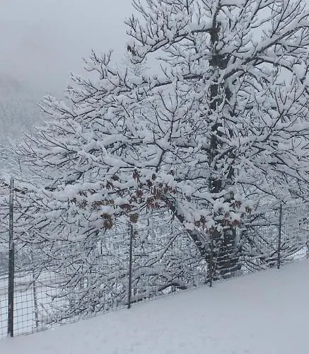 Tatil Evi La Casetta Della Nonna