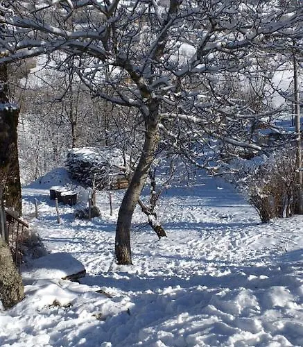 Tatil Evi La Casetta Della Nonna Sant'Anna Pelago