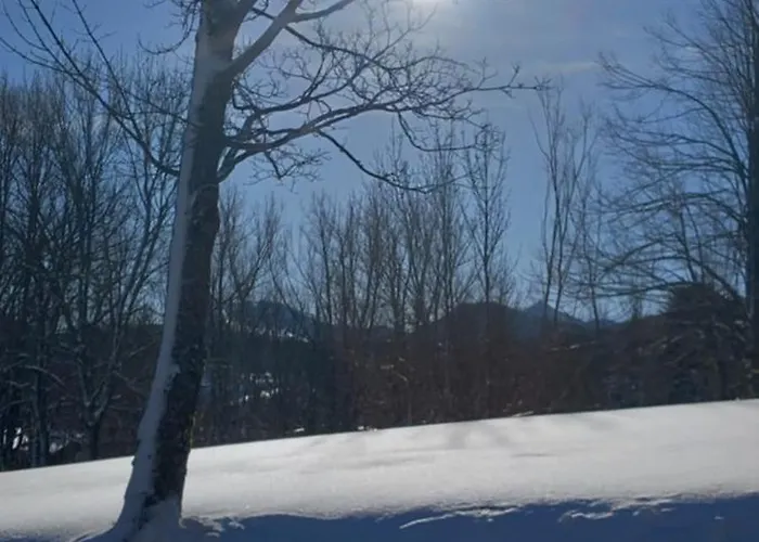 La Casetta Della Nonna Sant'Anna Pelago